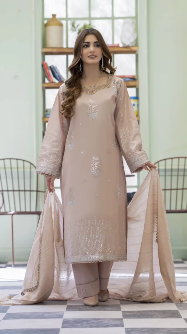 Beige Embroidered Kurta Set with Soft Dupatta